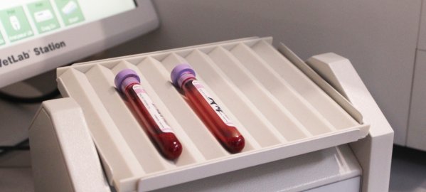 laboratory