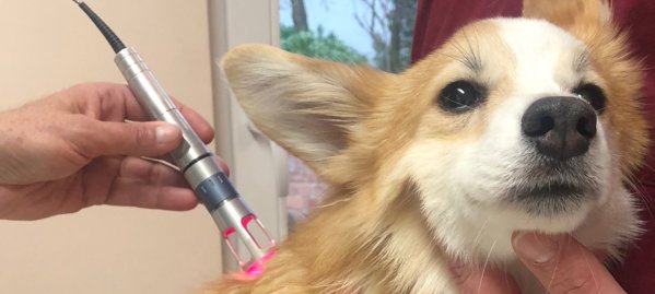 lasertherapy