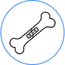 Orthopédie
